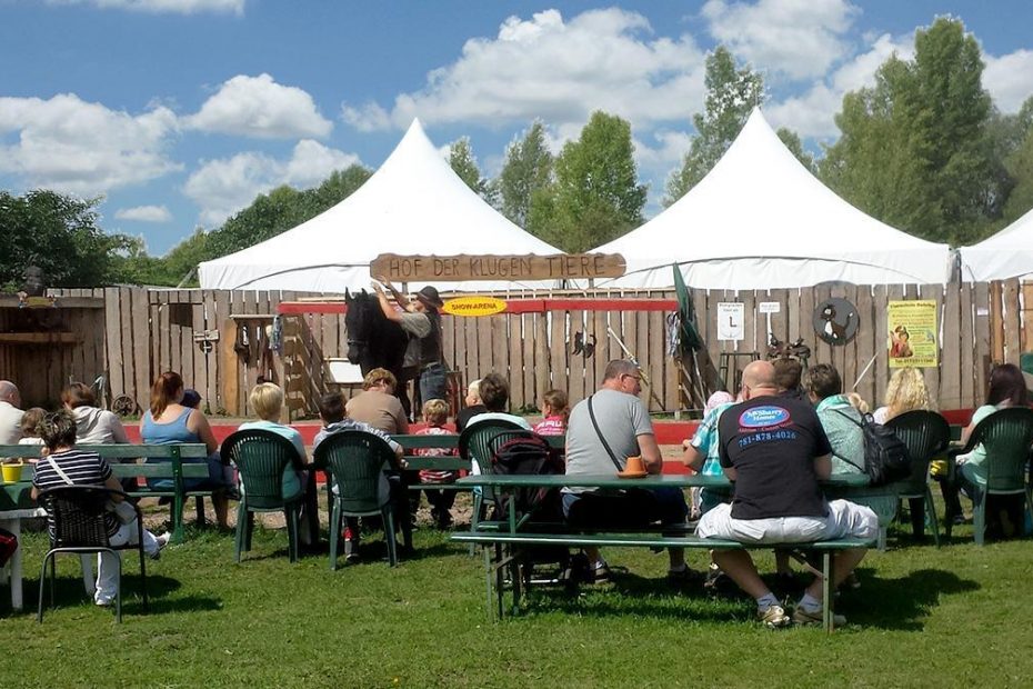 Hof der klugen Tiere